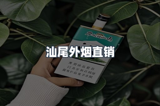 汕尾外烟直销